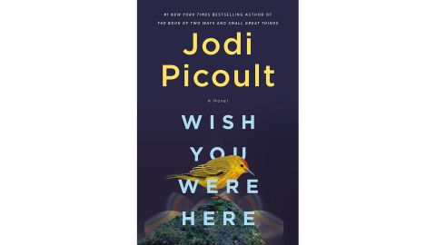 ‘Wish You Were Here’ by Jodi Picoult 