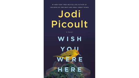 ‘Wish You Were Here’ by Jodi Picoult