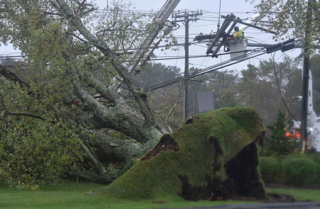 A large tree uprooted onto Rt. 132 bringing down power lines onto the roadway in Sandwich, Massachusetts. 
