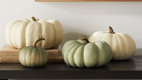 West Elm Decorative Pumpkins 