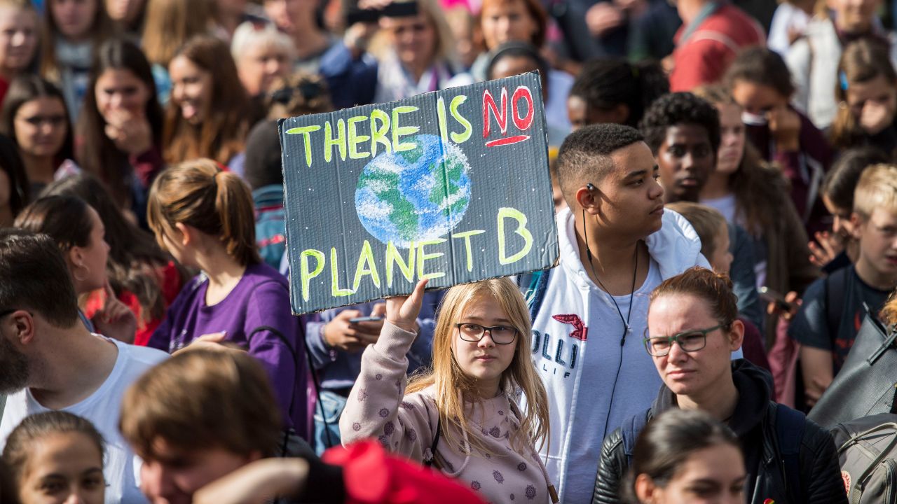 A Fridays For Future protest in Germany in 2019. International climate experts welcome the US climate measures, but said the country needs to do more.