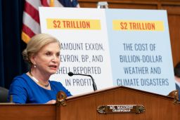 Rep. Carolyn Maloney, a New York Democrat and chair of the House Committee on Oversight and Reform, speaks during the hearing.