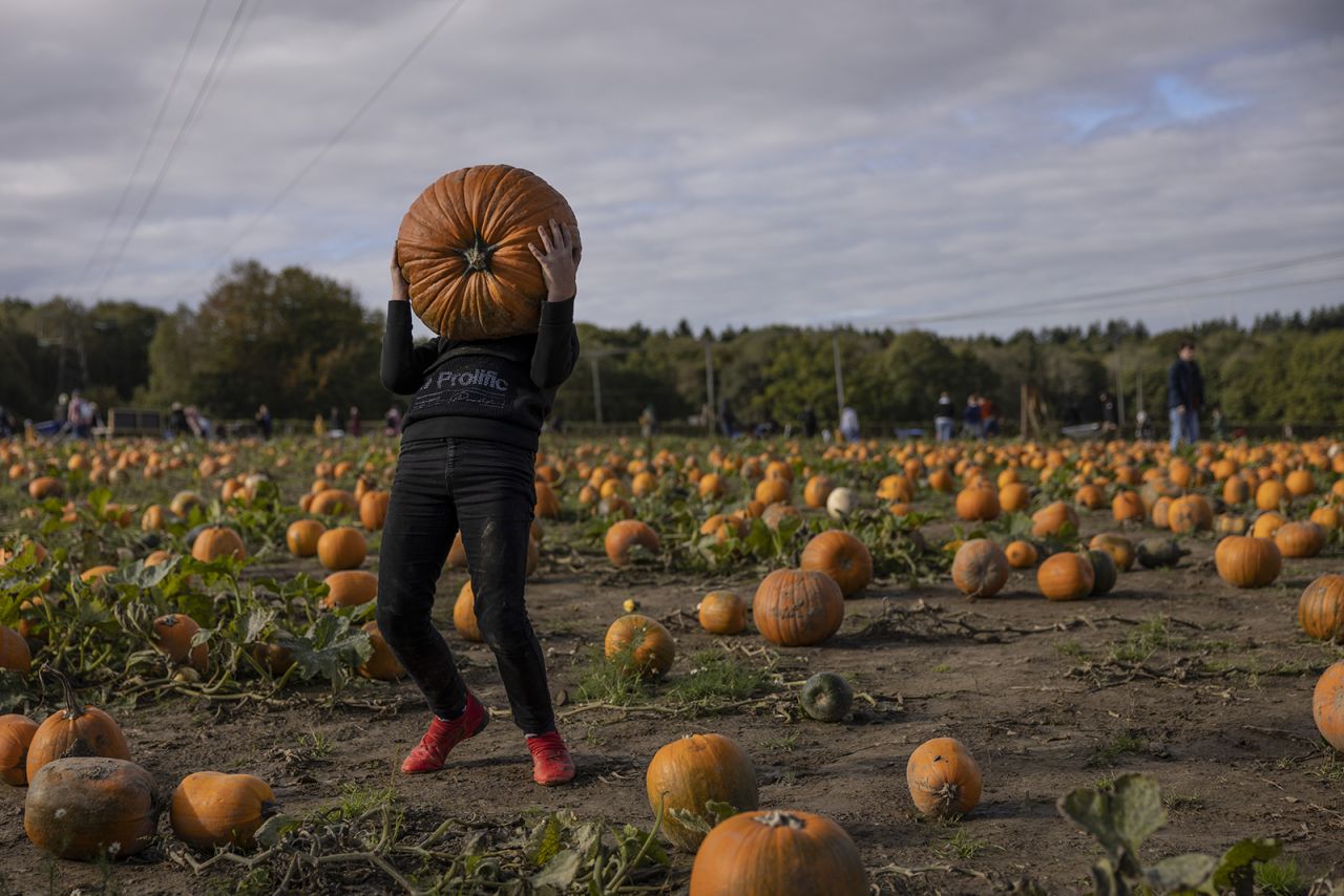 A boy picks up a heavy pumpkin at a farm in Crawley, England, on Friday, October 22.