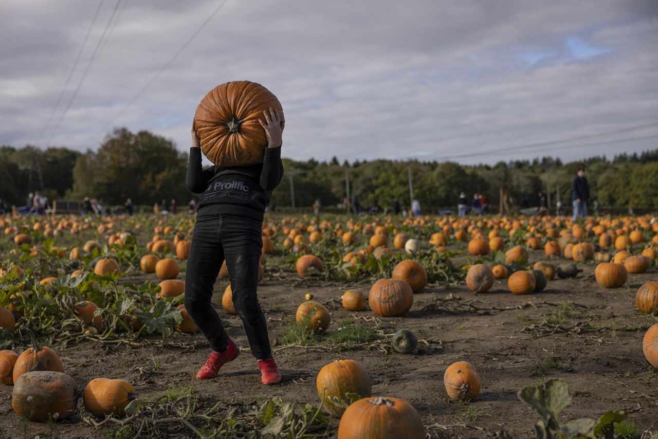 A boy picks up a heavy pumpkin at a farm in Crawley, England, on Friday, October 22.