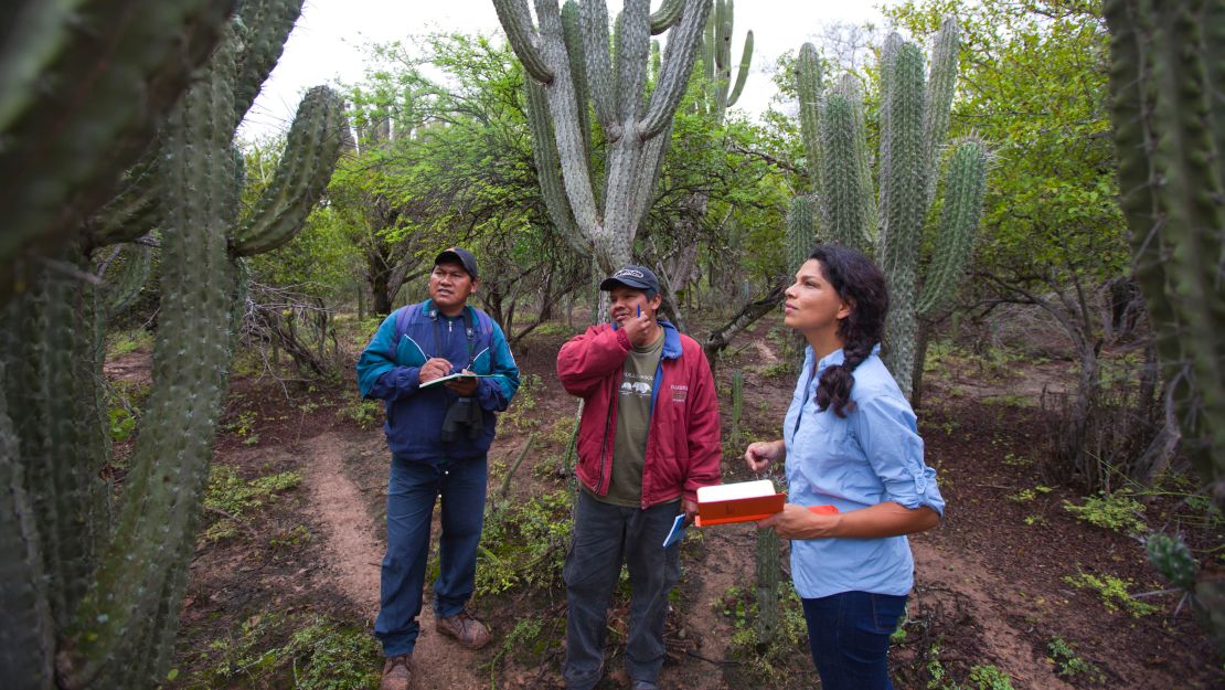 Erika Cuéllar with parabiologists Alejandro Arambizaand and Joaquin Barrientos.