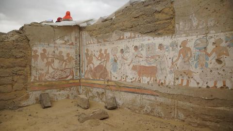 01 egypt treasurer tomb saqqara