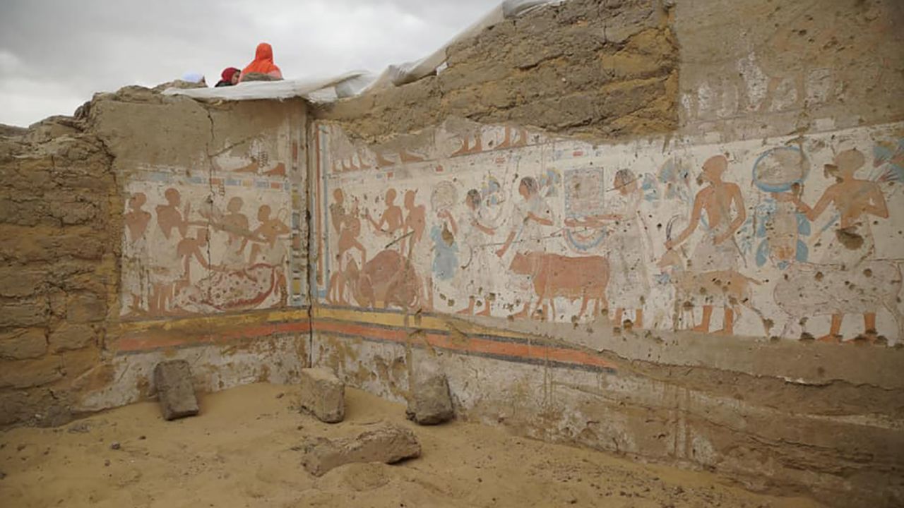 A team of archaeologists from Cairo University led the project.
