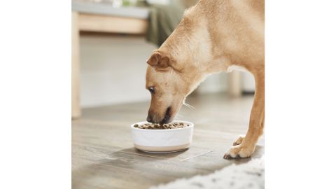 Frisco Nonskid dog bowl