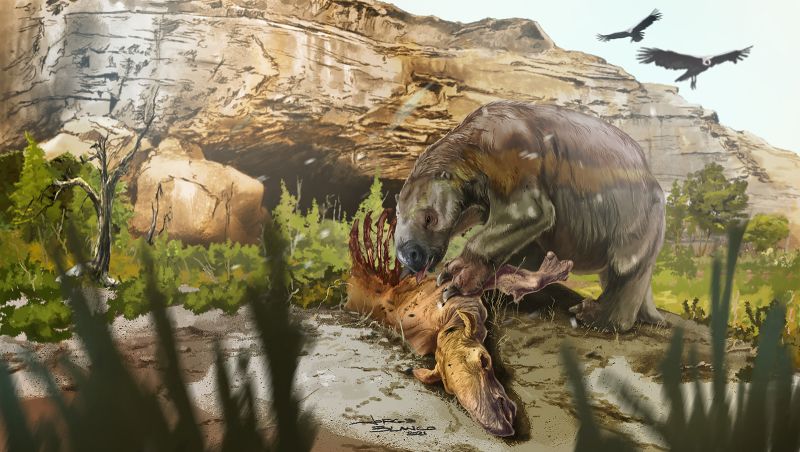 This ancient sloth ate meat, unlike its plant-eating relatives | CNN