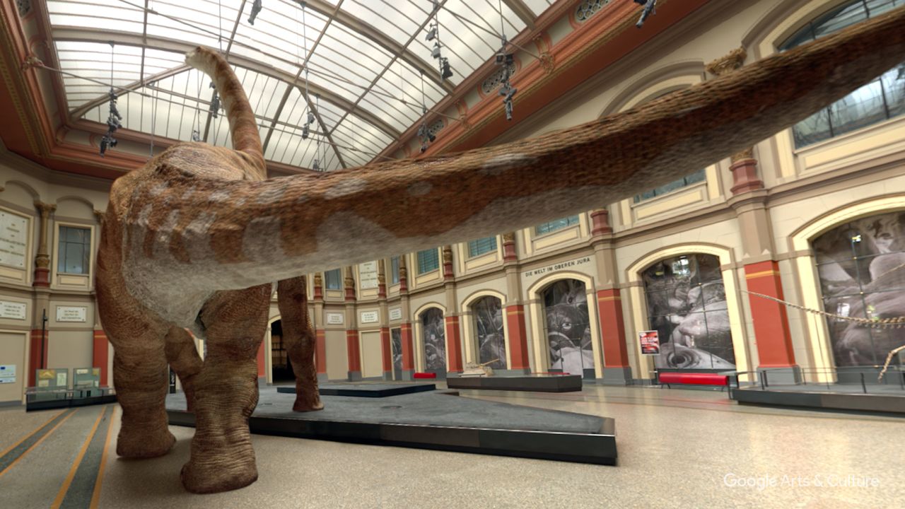 Google Arts & Culture worked with ecologists, paleontologists and biologists to put virtual skin and flesh on the preserved skeleton of a brachiosaurus, pictured above, one of the tallest dinosaurs that ever lived, standing at 42 feet tall. From the size of its eye to the creases in its skin, every detail of the dinosaur was carefully recreated.