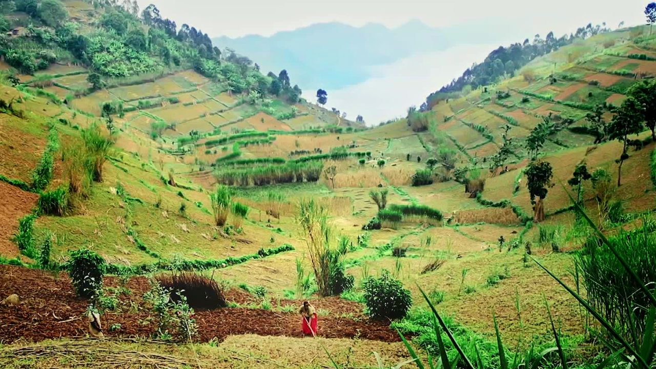 call to earth day doc promo c23 spc intl_00001213.png