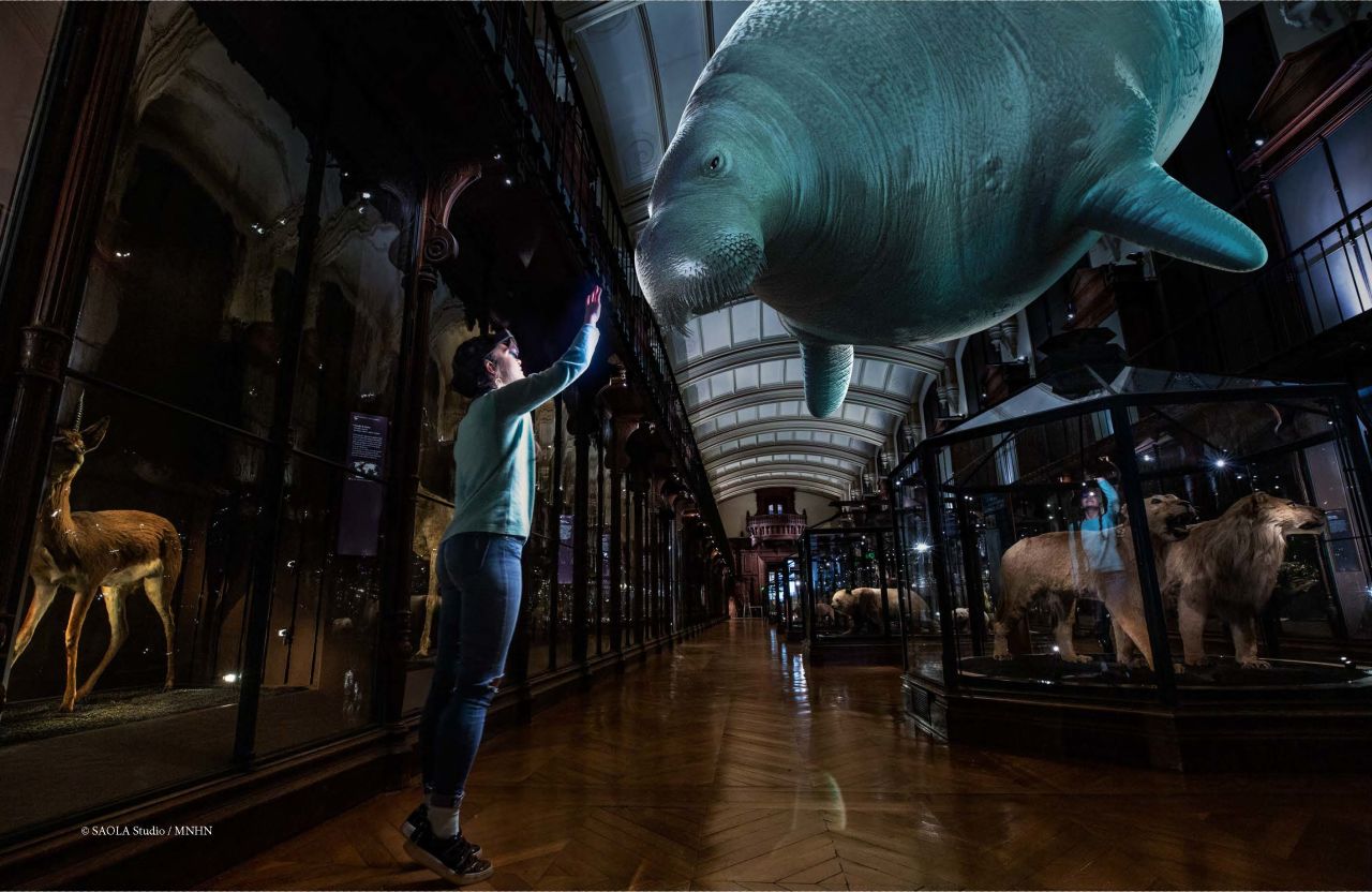 In another augmented reality project, France-based SAOLA Studio teamed up with the National Museum of Natural History in Paris to digitally revive 11 species of animals that are now extinct or in danger of extinction, for project "Revivre" ("Revive" or "Relive" in English). Above is an imagining of Stellar's sea cow, an animal that was described in 1741 in the North Pacific but which humans hunted for its oil and meat until it became extinct in 1768, according to the museum.