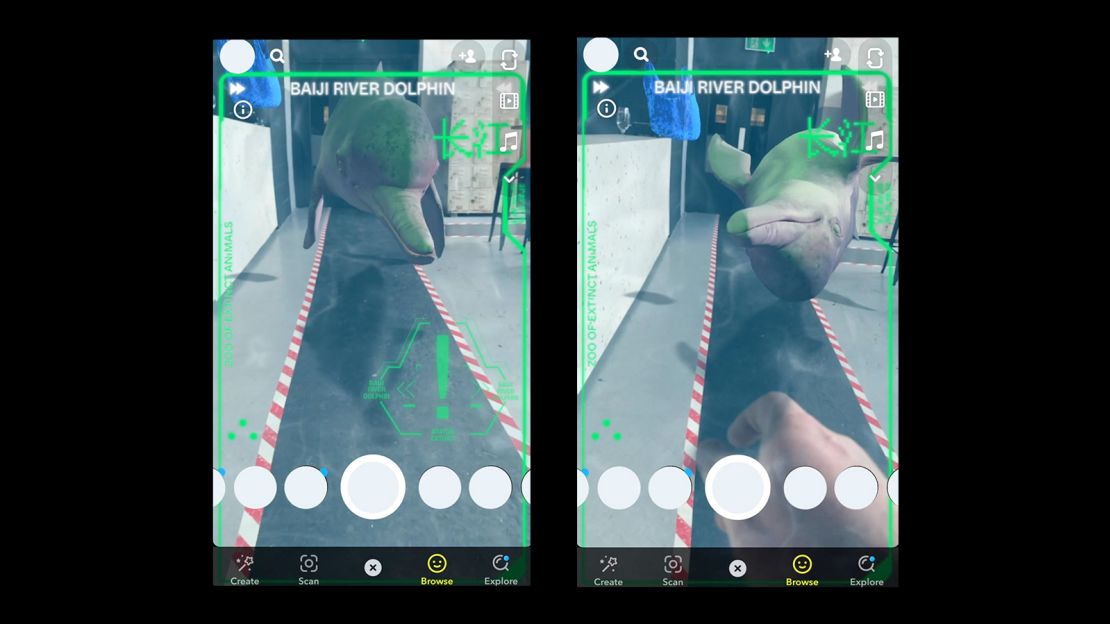 Sebastian Koseda's Snapchat lens lets users interact with the baiji dolphin.