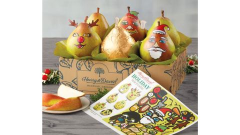 Harry & David Christmas Pear Decorating Kit
