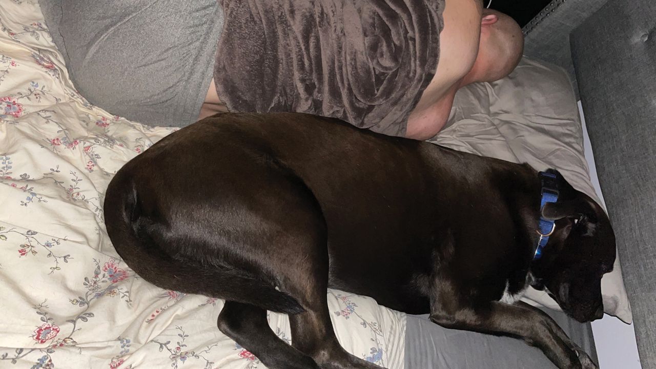  "When a dog turns their back to you, it's an incredible sign of trust because that is a very vulnerable position for them -- they can't keep watch for danger," Varble said.<br /><br />Mason, a 3-year-old lab mix, loves to sleep next to his dad every night but hates covers.