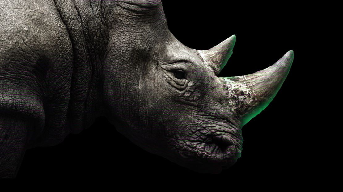 The next lens to be released will be of the extinct West African black rhino.