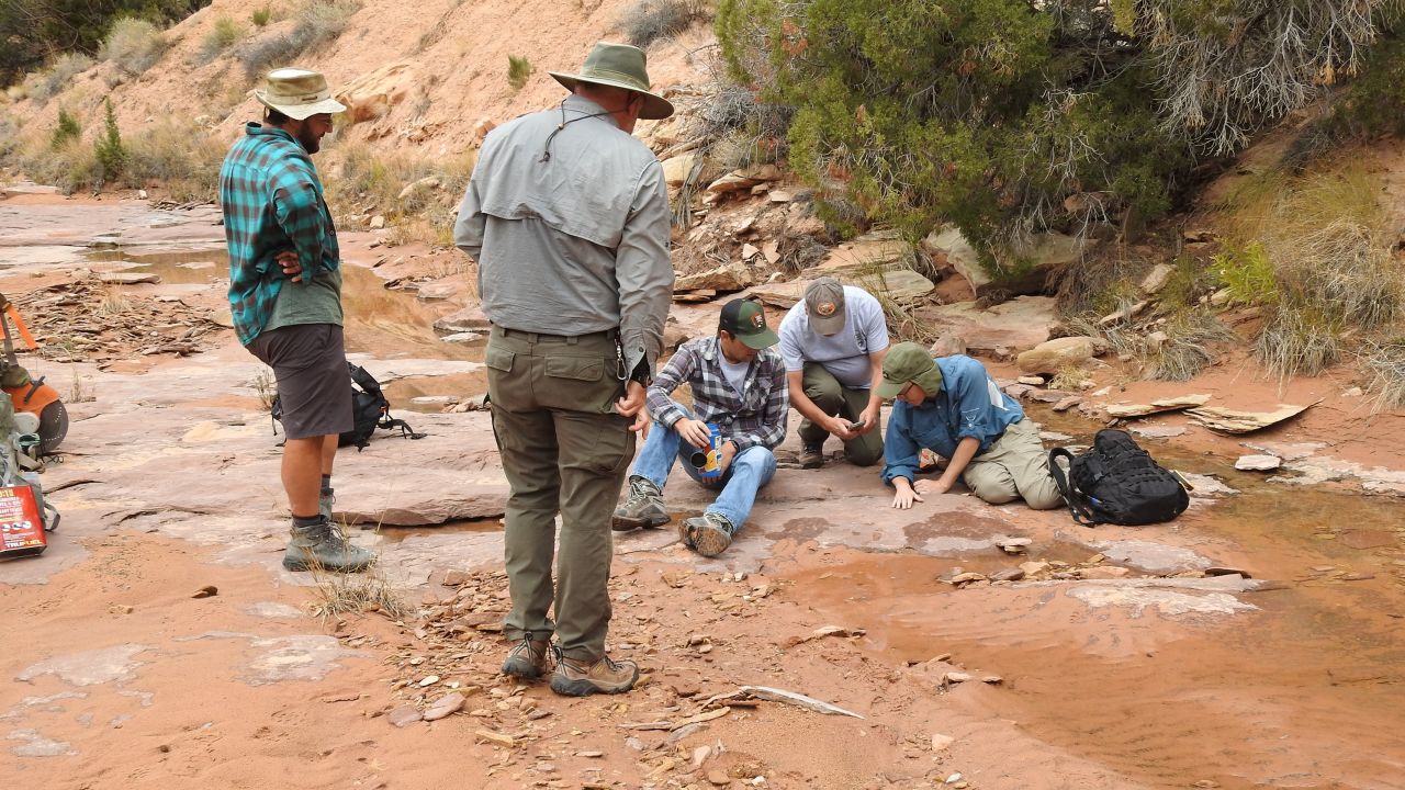 Scientists collect a 300 million-year-old fossil skeleton at Canyonlands National Park in Utah.