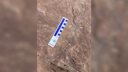 Scientists collect a 300 million-year-old fossil skeleton at Canyonlands National Park. 