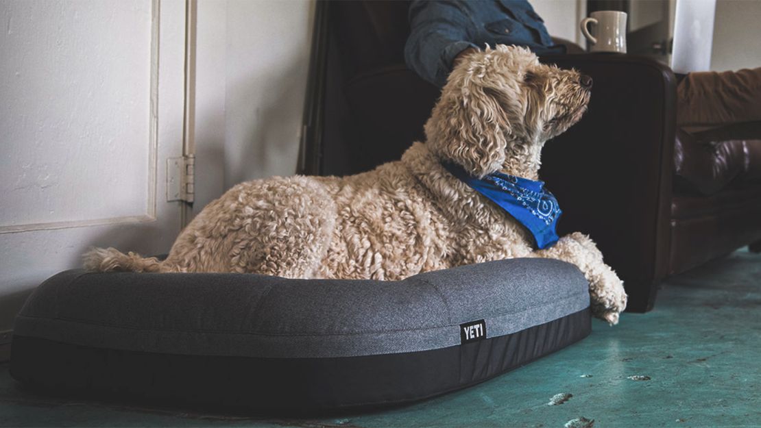 My Pup Loves the YETI Dog Bed, But She Doesn't Have to Pay for It
