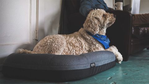 Yeti Trailhead Dog Bed