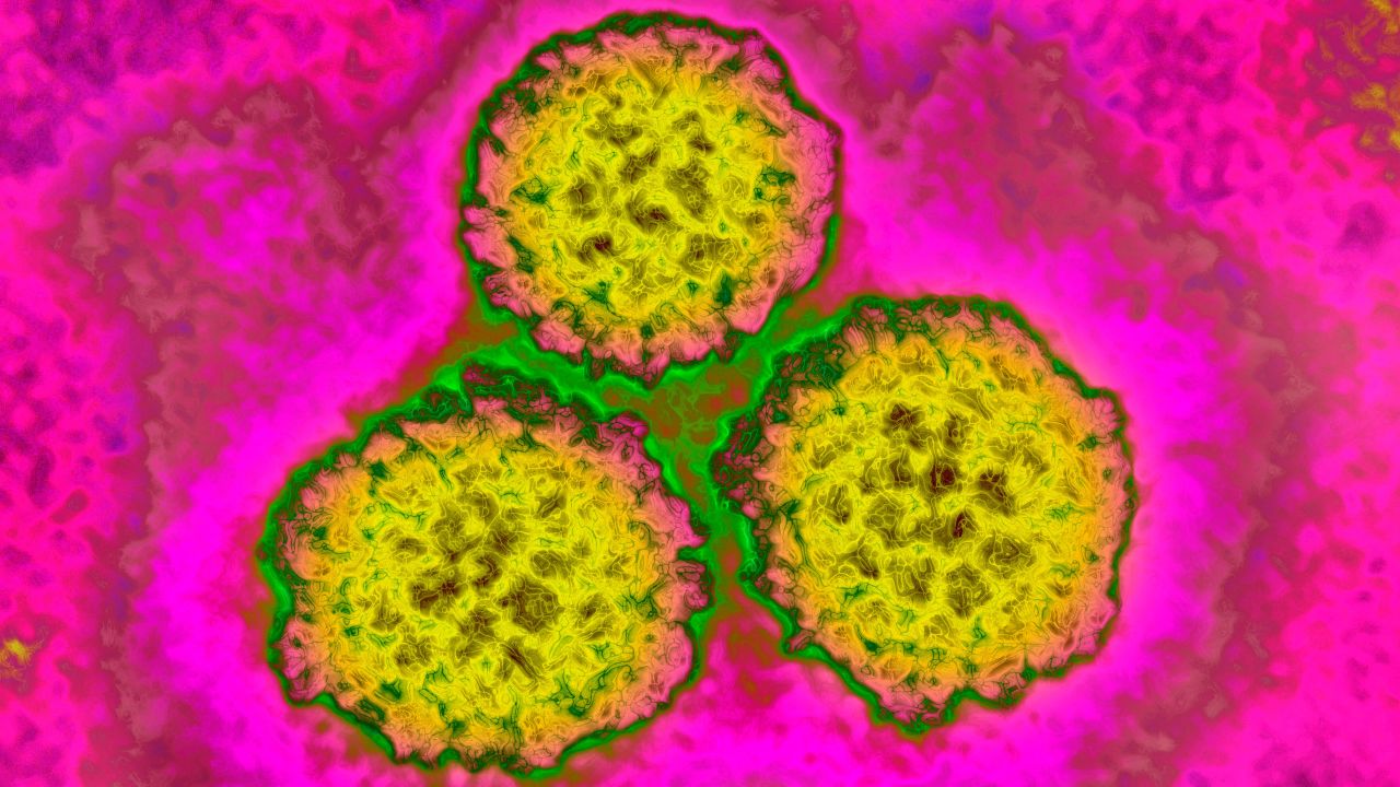 Human papillomavirus (HPV) can cause cervical cancer.