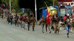 Tigrayan rebels and troops allied against Ethiopia's central government are rapidly advancing on the country's capital Addis Ababa, raising concerns that the sprawling city could fall.