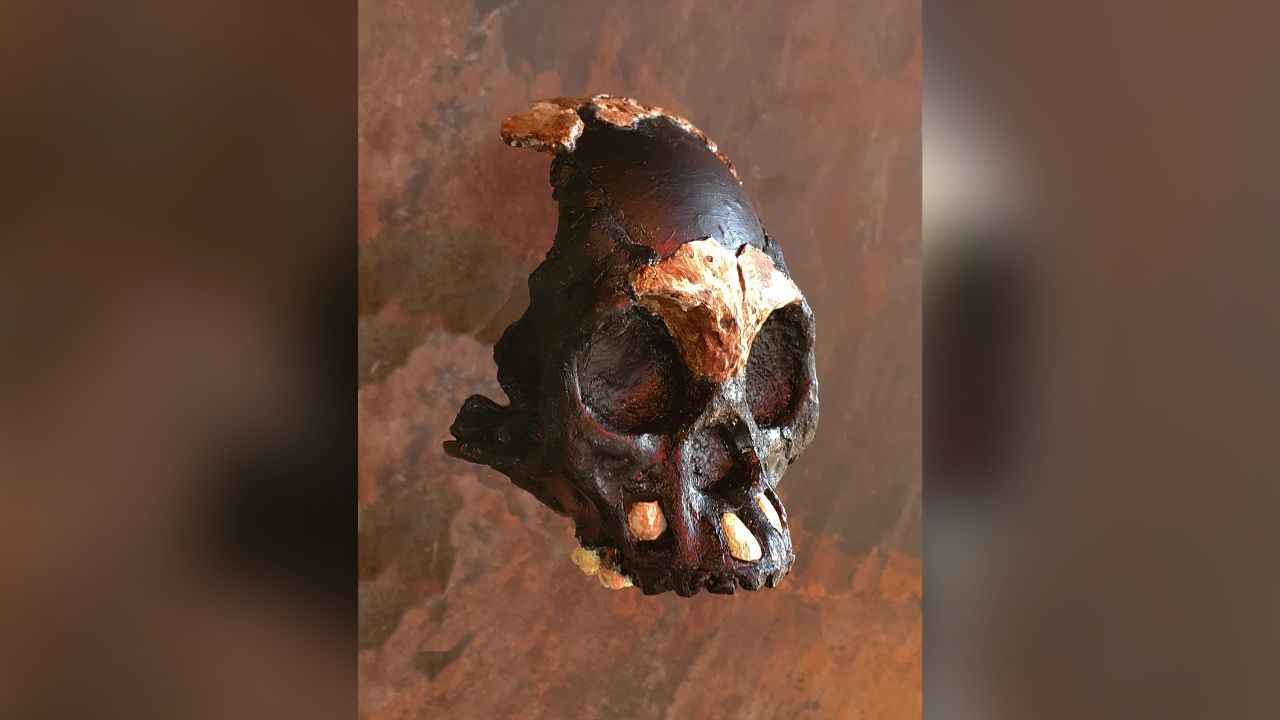 Leti's skull fragments were found in a narrow passage of the cave.