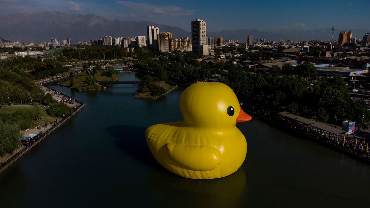 Dutch artist Florentijn Hofman's giant inflatable duck is exhibited in Santiago, Chile, on November 2.