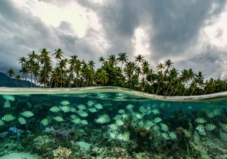 The economy of the island of Bora Bora, French Polynesia, is driven by tourism, writes Mittermeier. "Community-based ecotourism is one of the solutions to supporting biodiversity while helping to empower local communities to shape both the future of their home and our ocean," she adds.