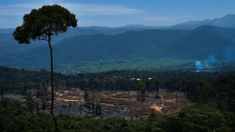 A land clearing area near protected forest in Tangse, Aceh province on July 27, 2019.