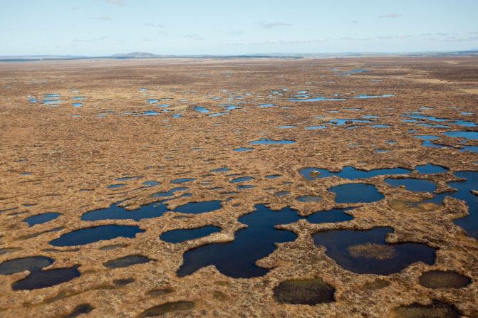 The project aims to expand woodland to its natural limit and restore floodplains and peatland. Peatlands (pictured here in Forsinard, Scotland) make up <a href="index.php?page=&url=https%3A%2F%2Fsoils.environment.gov.scot%2Fresources%2Fpeatland-restoration%2F" target="_blank" target="_blank">a fifth</a> of the Scottish landscape and are huge carbon sinks. 