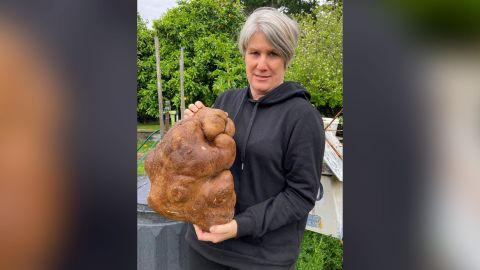 Donna Craig-Brown holds a large potato dug from her garden at her home near Hamilton, New Zealand Wednesday, Nov. 3, 2021.