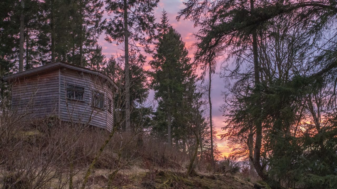Guests can visit the beavers at Bamff and stay in cabins, yurts or cottages scattered around the estate.