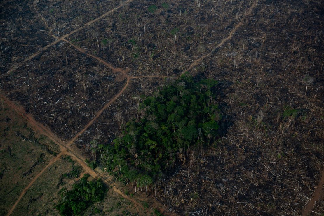 A deforested area of the Amazon rainforest in September.