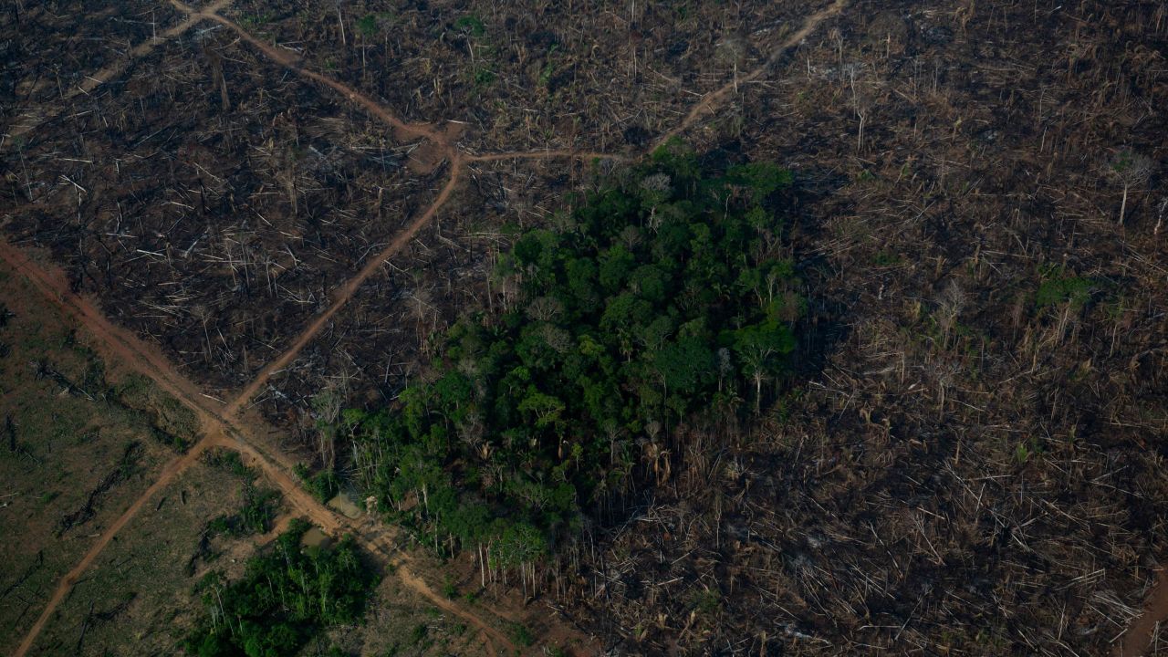 A deforested area of the Amazon rainforest in September.