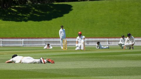 Cricketers hit the floor to avoid the swarm of bees.