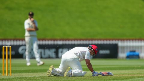 The swarm interrupted a match between Wellington and Canterbury.