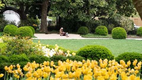 First Lady Jill Biden grades papers in the Rose Garden beside a sculpture acquired by the White House Historical Association in 2020, on April 12, 2021. 