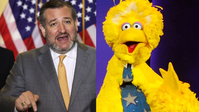 Ted Cruz Big Bird split vpx