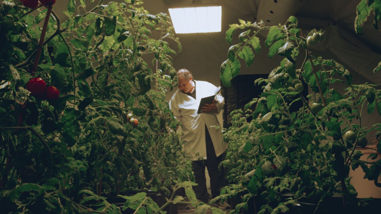 A team of 14 astrobiologists worked for nine months at the Aldrin Space Institute of Florida Tech, growing tomatoes in a simulated environment.