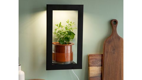 Sarah Burrows and Nick Behr Growlight Frame Shelf