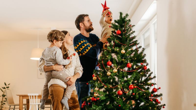 Where to get christmas deals trees from