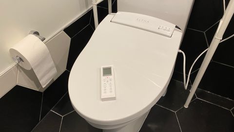 Alpha JX toilet seat