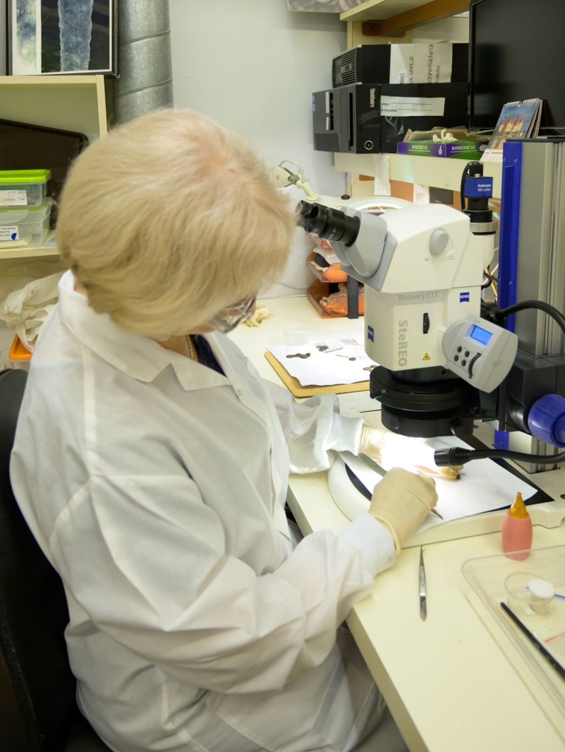 Conservator Helena Kupershmidt cleaning the gold ring in the Israel Antiquities Authority's laboratories.