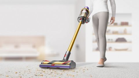 Dyson Outsize Absolute+