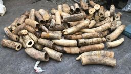 Homeland Security officials in Washington State arrested two people in connection with a multi-million dollar ivory smuggling bust.
