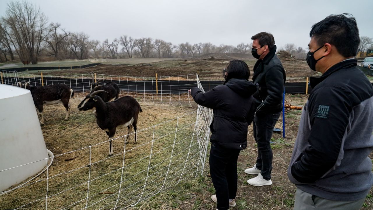 Dar-Lon Chang and his daughter with CNN's Bill Weir next to the herd of goats in Geos.