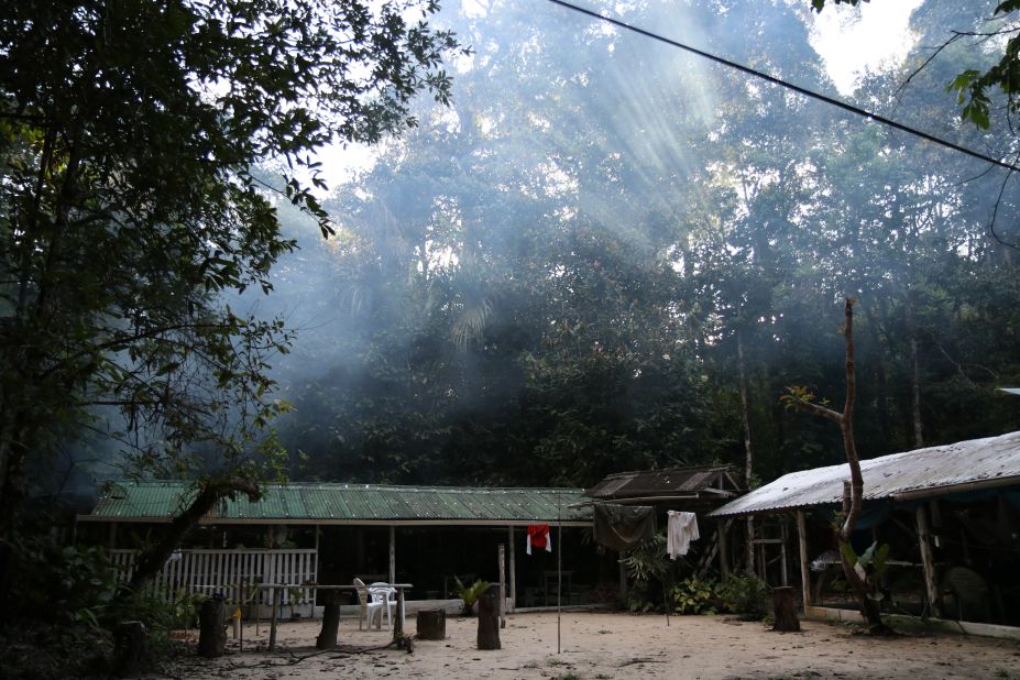 The researchers' camp site is surrounded by primary forest.