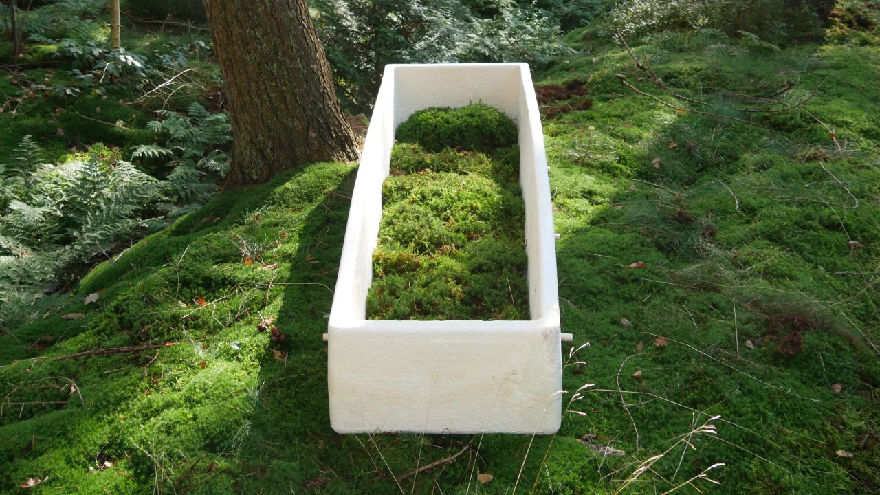 The "Living Cocoon" designed by Bob Hendrikx's company Loop.
