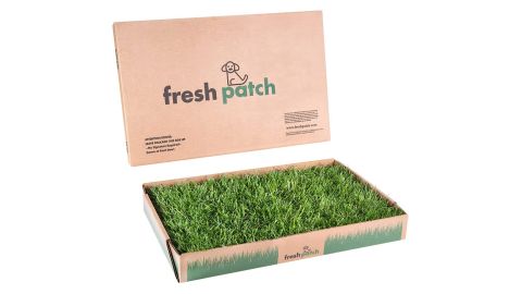 Fresh Patch Disposable Dog Potty with Real Grass